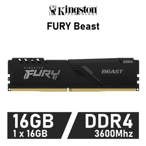 Kingston Fury Beast KF436C18BB/16 (1 x 16GB | DIMM DDR4-3600)